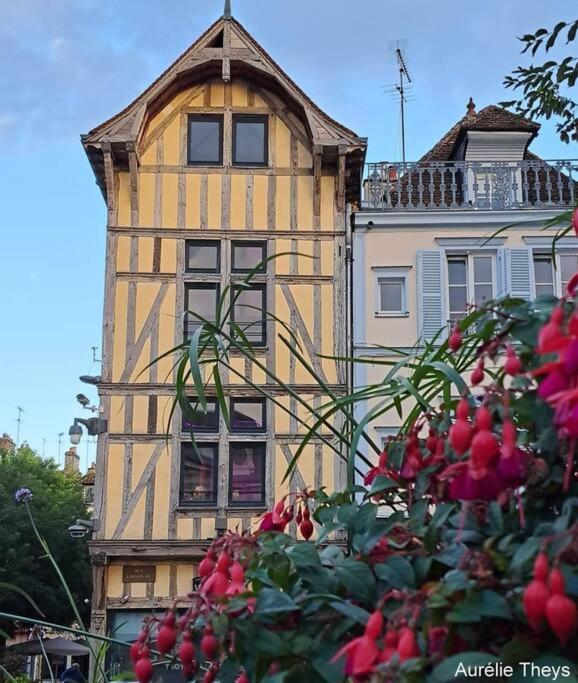 Sibille : Elegance In The Heart Of The